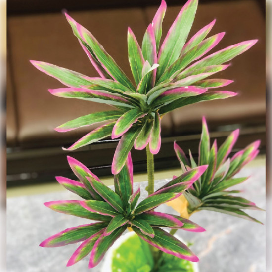 Artificial Cordyline Plant