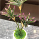 Artificial Cordyline Plant