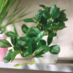 Artificial Mini Plant