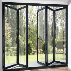Folding Door