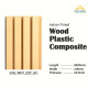 Wood Plastic Composite (WPC) 